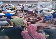 越南红木市场火爆场面几乎失控 凸显原材料异常紧缺