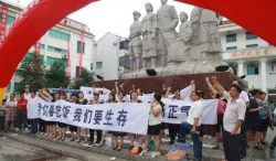 环保一刀切关停！企业忍无可忍，直接怼起来了！